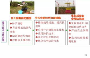 初級農(nóng)產(chǎn)品原料食品安全風險 農(nóng)藥管理