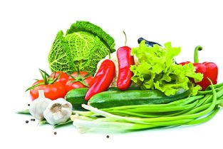 政府支持為堅(jiān)強(qiáng)后盾，有效避免禽蛋等農(nóng)產(chǎn)品價(jià)格大起大落