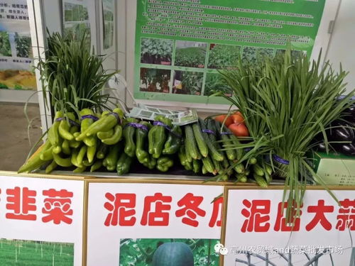 熱烈祝賀2018亳州特色農(nóng)產(chǎn)品展暨首屆中國農(nóng)民豐收節(jié)盛大開幕