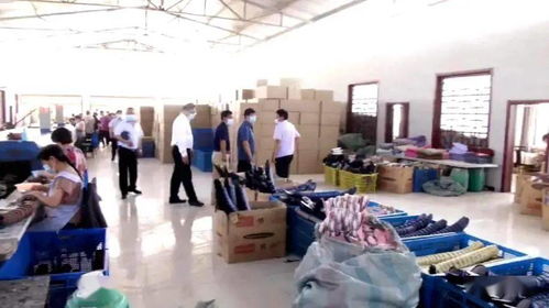 肖家堡采摘園 農產品線上銷售新篇章