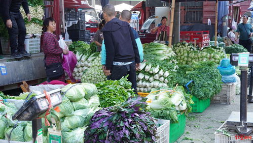 不打烊！成都全市益民菜市春節(jié)假期正常營業(yè)，網(wǎng)上銷售初級農(nóng)產(chǎn)品